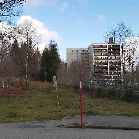 Ferienwohnung In Freudenstadt-Kniebis Экстерьер фото